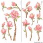 Romantic Neriifolia Wall Stickers WST-16