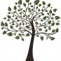 Big Tree Wall Stickers WS-006