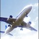 Flights