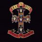 GUNS N ROSES PLATINUM RECORD AWARD "APPETITE FOR DESTRUCTION"