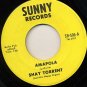 SHAY TORRENT Ramona / Amapola SUNNY Records 45