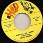 RALPH BEBEAU  Ayatollah's Lament / The Road Of Love HEP Records 45