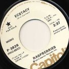 RASPBERRIES Ecstacy mono/stereo promo 45