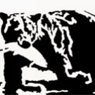 Look what I caught - Bear Pattern