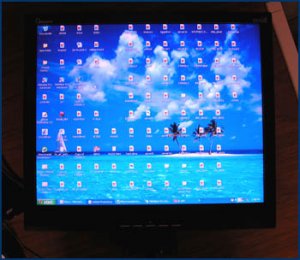 Viewsonic Optiquest Q91B 19" LCD Display black