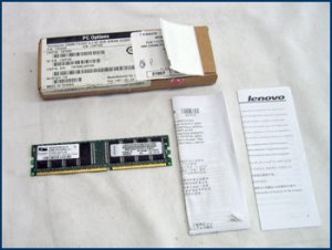 Lenovo 256MB PC3200 DDR SDRAM DIMM 73P2685