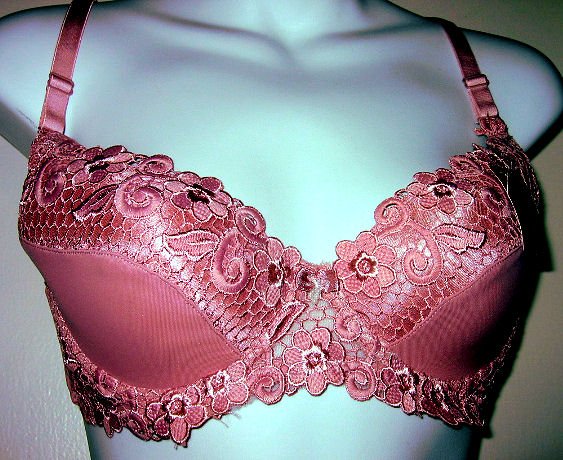 LYCRA gorgeous PINK LACE TRIM SHEER bra WOMEN'S CLOTHES LINGERIE SEX coral pink