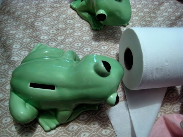 frog porcelain