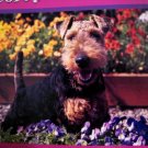 lot 3 set box parrot dog schnauzer garden flowers ENCORE PUZZLE 504 PIECE HOME decor art painting