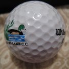SILVER LAKE WILSON 3 - COLLECTOR'S GOLF BALL SPORTS MEMORABILIA DECORATIVE COLLECTIBLE HOME HOBBY