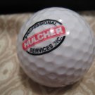 PROFESSIONAL HULCHER - COLLECTOR'S GOLF BALL SPORTS MEMORABILIA DECORATIVE COLLECTIBLE HOME HOBBY