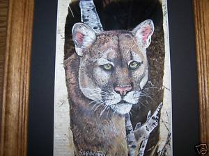 WILD PUMA Feather Art Turkey Tail Hand Painted Rooster Sue Perry Rufus Original ART WILD
