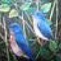BLUE BIRDS WILD Turkey TAIL Feathers Hand Painted ART ! Sue Perry Rufus Original