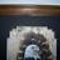 AMERICAN BALD EAGLE Wild Turkey Feathers Hand Painted  Sue Perry Rufus Original ART