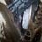 AMERICAN BALD EAGLE Wild Turkey Feathers Hand Painted Sue Perry Rufus Original ART