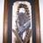 AMERICAN BALD EAGLE Wild Turkey Feathers Hand Painted Sue Perry Rufus Original ART