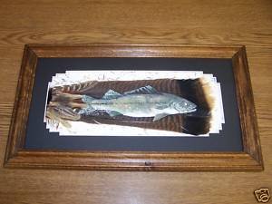 Walleye Fish Turkey Tail Pheasant Feather Feathers Art! Sue Perry Rufus