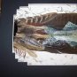 Walleye Fish Turkey Tail Pheasant Feather Feathers Art! Sue Perry Rufus