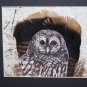 Three Owls hand painted Tree Bark Frame  Turkey Tail Feathers
