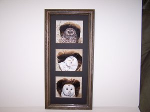 Three Owls hand painted Tree Bark Frame  Turkey Tail Feathers