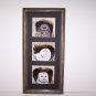 Three Owls hand painted Tree Bark Frame  Turkey Tail Feathers