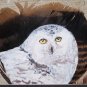 Three Owls hand painted Tree Bark Frame  Turkey Tail Feathers