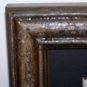 Three Owls hand painted Tree Bark Frame Turkey Tail Feathers