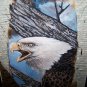 Beautiful American Bald Eagle Hand Painted Turkey Wing Feathers Art