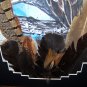 Beautiful American Bald Eagle Hand Painted Turkey Wing Feathers Art