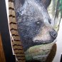 Original WILD BLACK BEAR Turkey Tail Feathers Signed ART