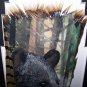 Original WILD BLACK BEAR Turkey Tail Feathers Signed ART