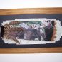 Wild MOOSE hand painted Turkey Tail Feathers Signed
