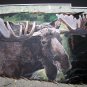 Wild MOOSE hand painted Turkey Tail Feathers Signed