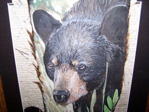 Wild Black Bear Handpainted on Turkey Tail Feathers Signed