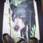 Wild Black Bear Handpainted on Turkey Tail Feathers Signed