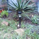 Solar Light
