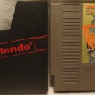 Dragon Spirit Nintendo Game with cover