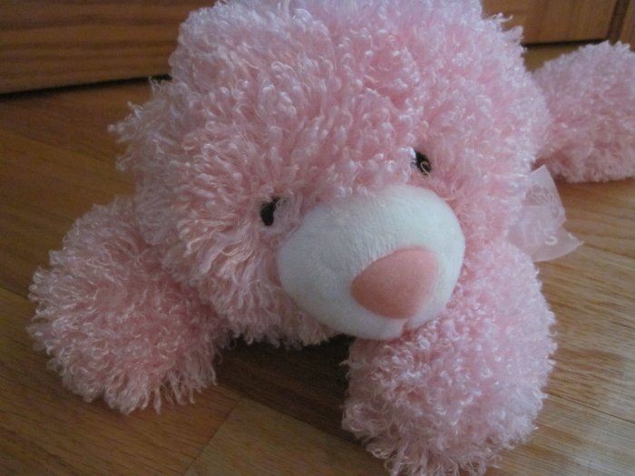 kellytoy pink bear