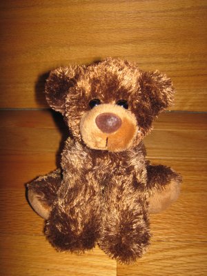 aurora brown teddy bear