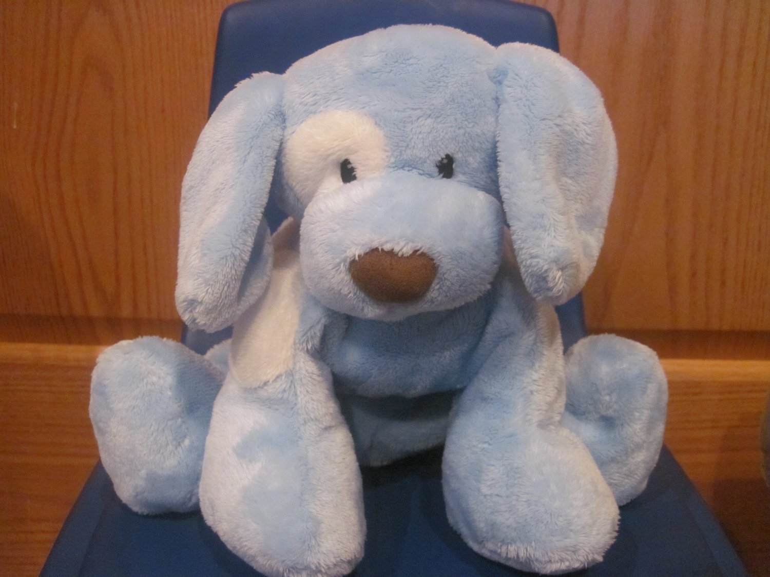 baby gund blue dog