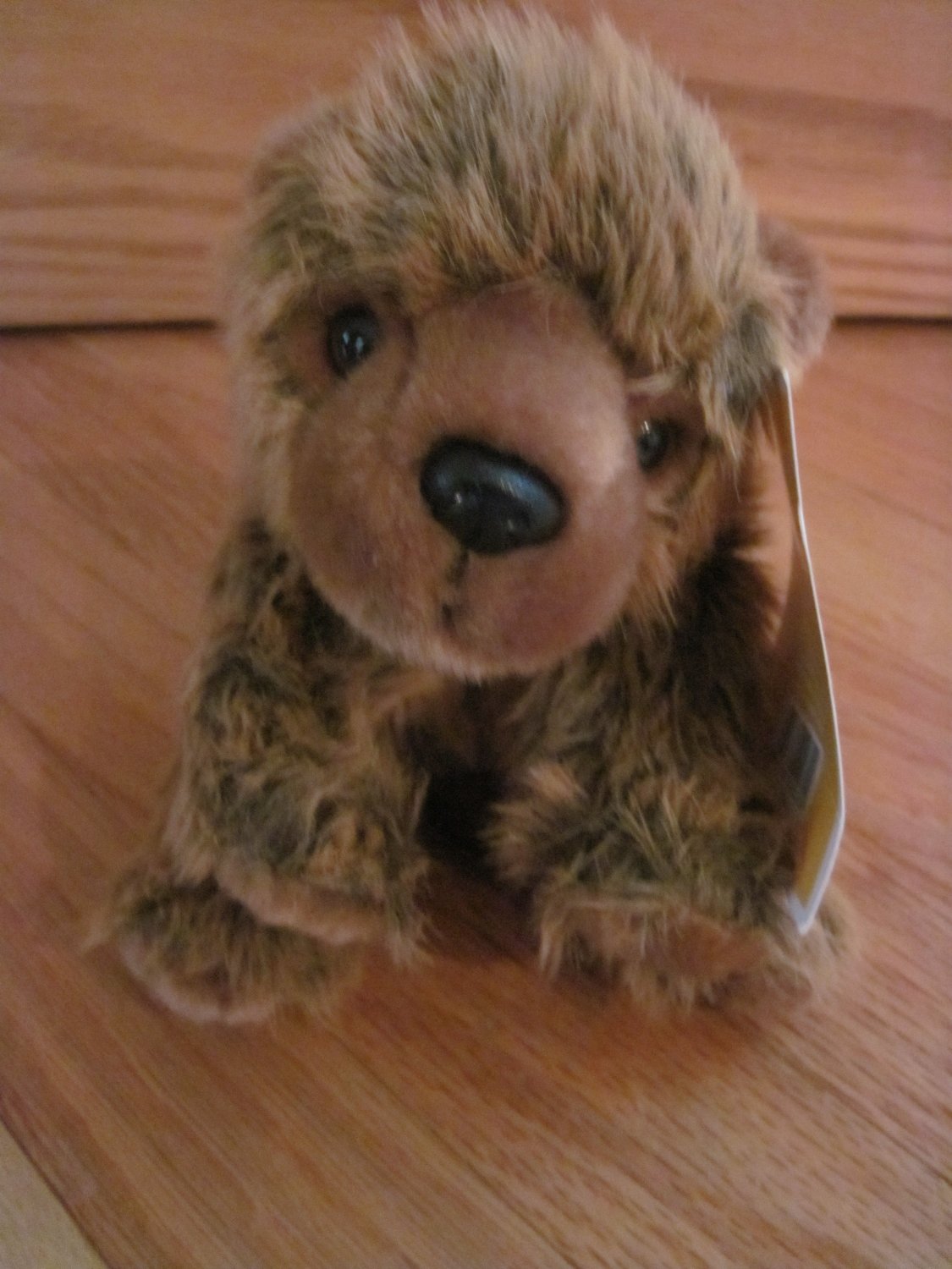 Target Circo Realistic Plush Animal Bear Brown Furry Teddy Bear Toy