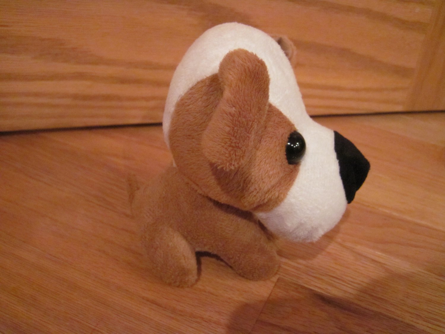 dog with big head and small body stuffed animal