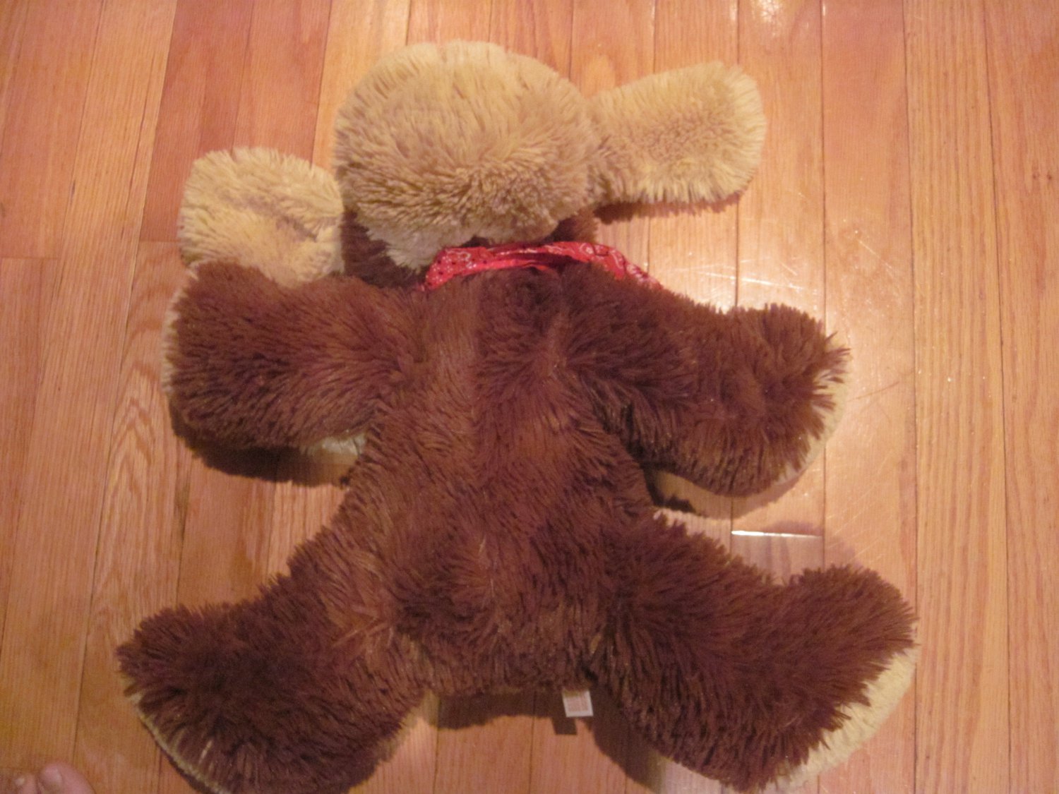 floppy dog plush