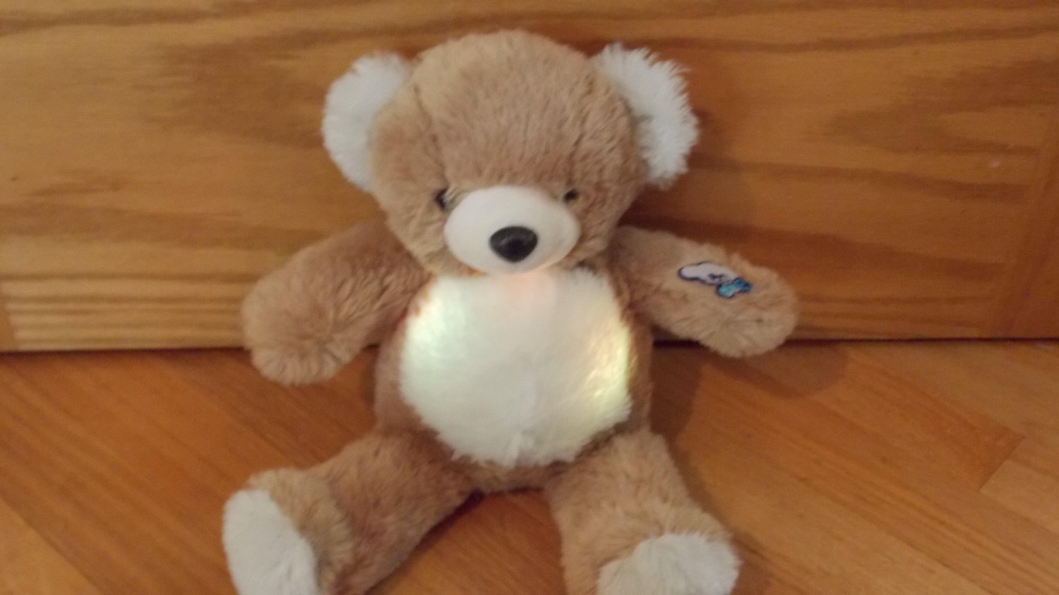 teddy bear light up belly