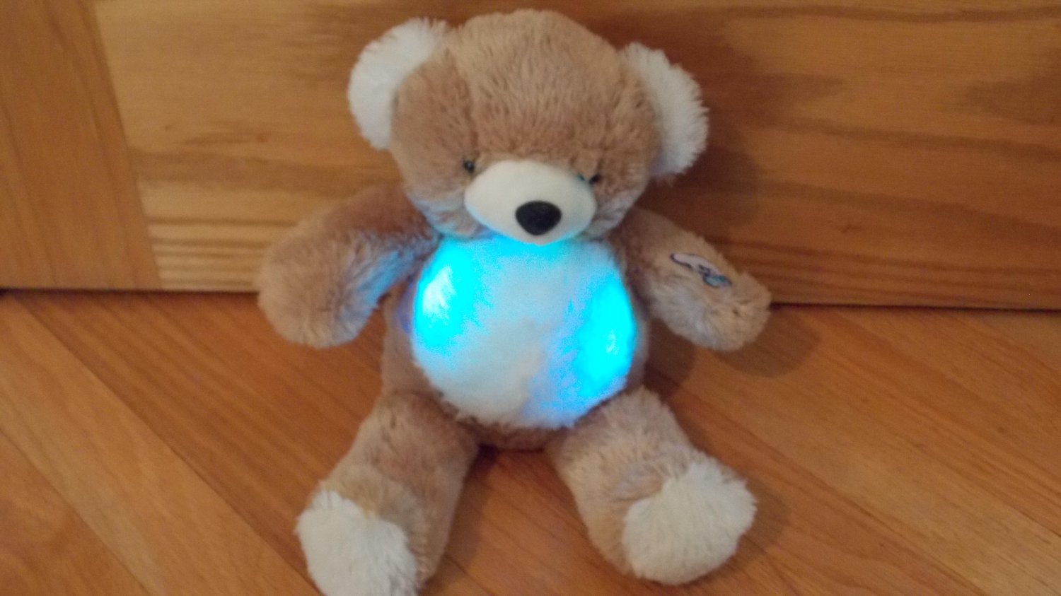 teddy bear light up belly