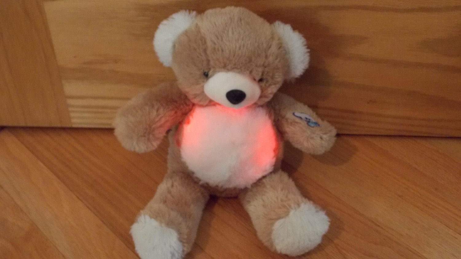 teddy bear with light up eyes