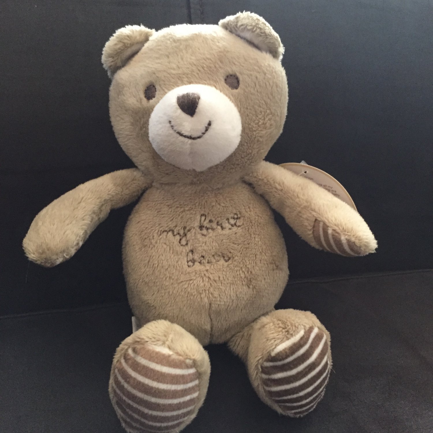 carters precious firsts teddy bear