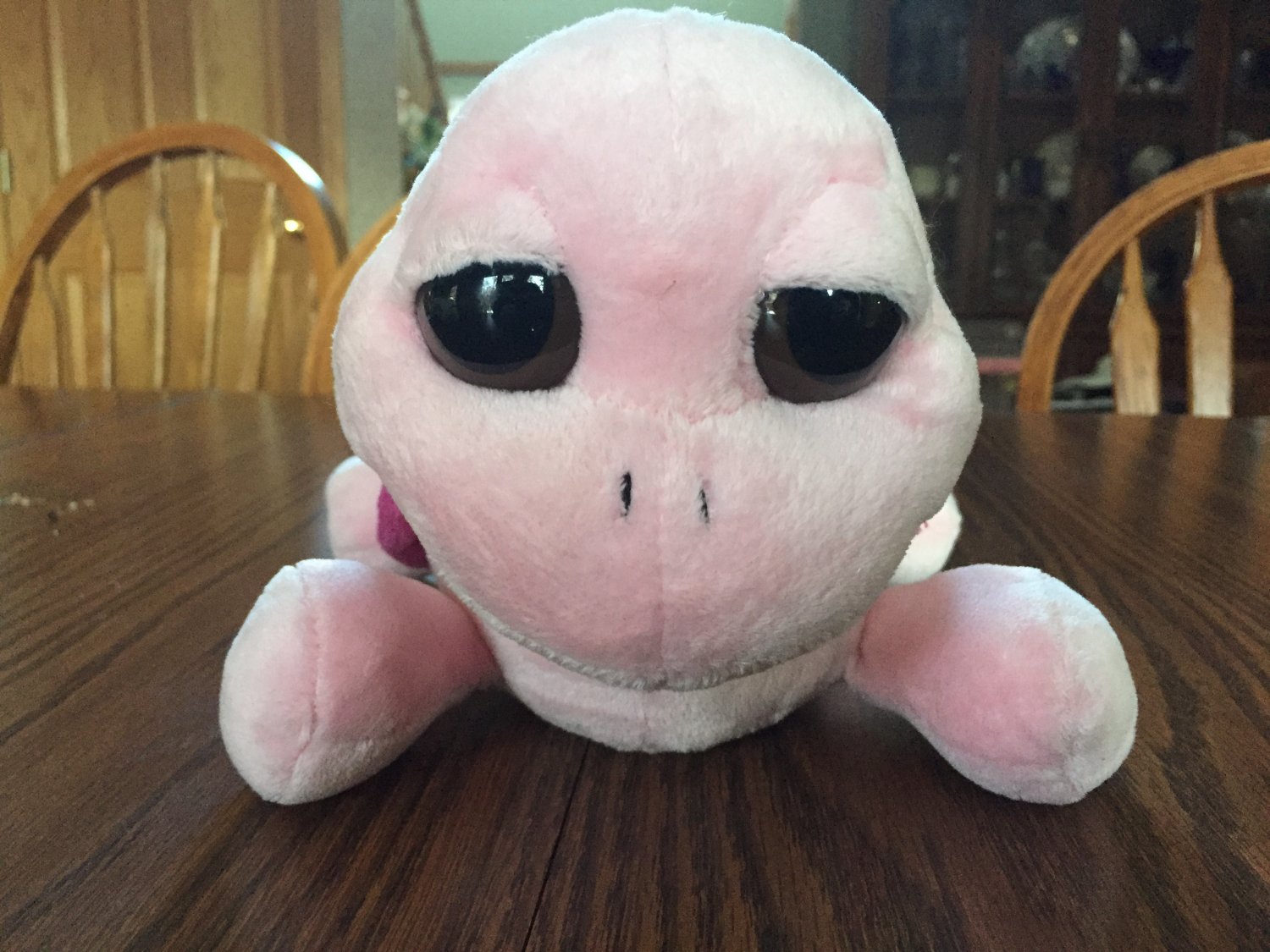 pink plush turtle