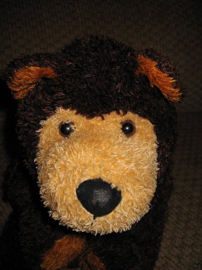 flip teddy bear