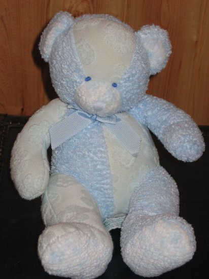 baby blue teddy